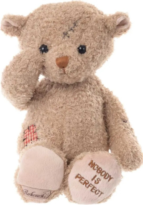 Orso "Nobody's Perfect" marrone, 25 cm