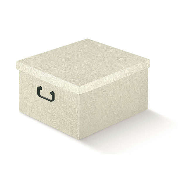 Scatola "Tutto a Posto" in cartone bianco effetto pelle, 40x60 cm, altezza 25 cm