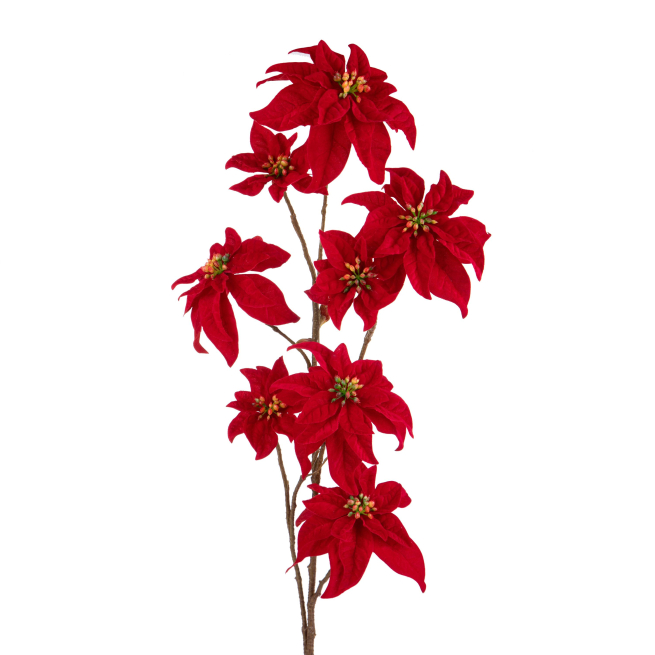 Ramo con stelle di Natale rosse, altezza 106 cm