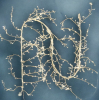 Ramo champagne modellabile, 504 microled flashled a luce calda, uso interno ed esterno, lunghezza 3 metri