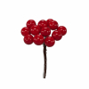 Bacca pick rosso, con filo in metallo, diametro 1.5 cm, confezione da 72 pezzi