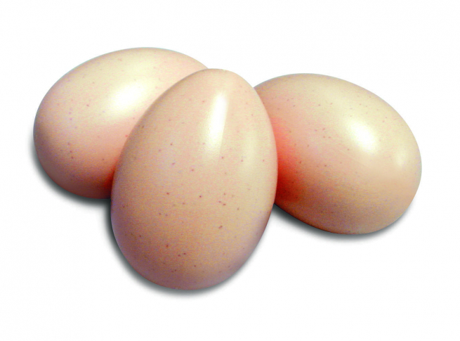 Uovo di plastica grandezza naturale, busta da 50 pezzi