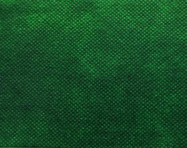 Sacchetto tessuto non tessuto verde bosco, bordo smerlato, confezione da 25 pezzi