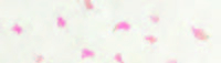 Carta Kozo floral fiori rosa fondo bianco, formato 55x80 cm, confezione da 10 fogli