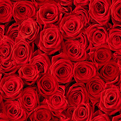 Tovagliolo in carta 3 veli stampa "Rose rosse", 33x33 cm, confezione da 20 pezzi