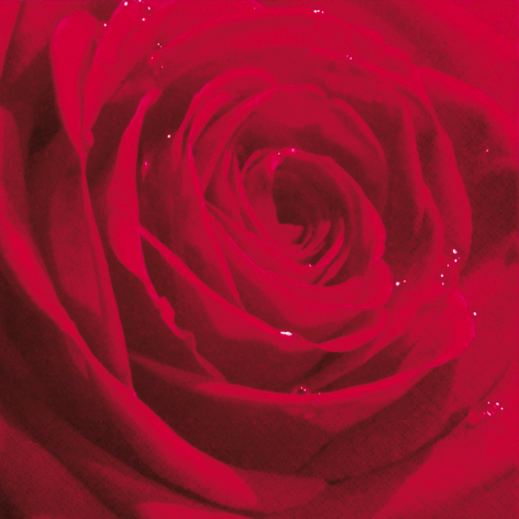 Tovagliolo in carta 3 veli stampa "Rosa rossa", 24x24 cm, confezione da 20 pezzi