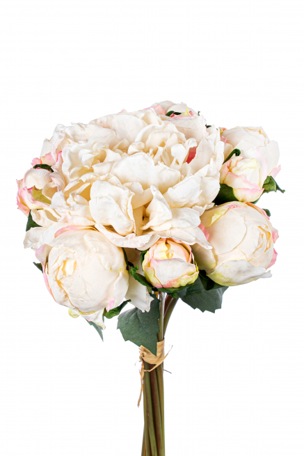 Bouquet peonie colore crema sfumato, altezza 40 cm