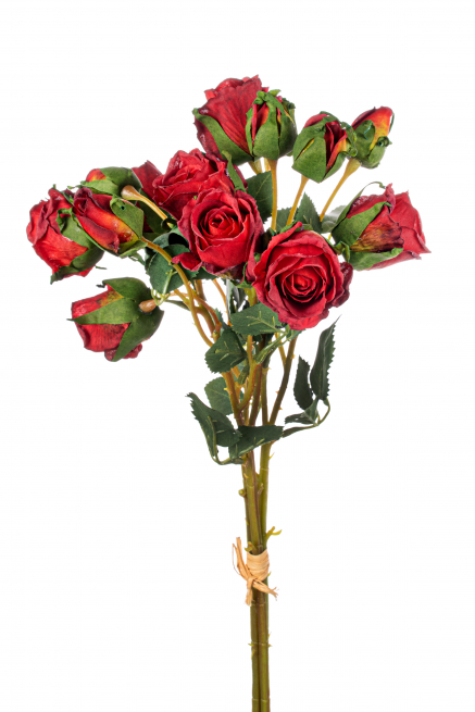 Bouquet boccioli rose rosso40 cm