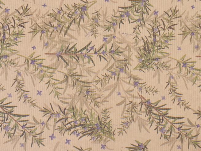 Carta da regalo in fogli stampa "Rosemary", con rametti di rosmarino e fiori, formato 70x100 cm, confezione da 25 fogli