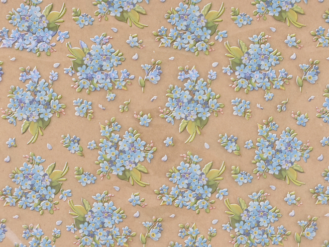 Bobina "Forget-me-not" in PPL fantasia fondo trasparente, altezza 1 metro, lunghezza 50 metri