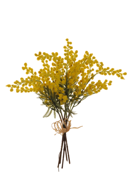 Mazzo di "Mimosa" con raffia, altezza 42 cm