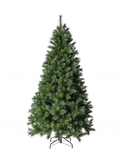 Pino "Abetone" verde, altezza 210 cm