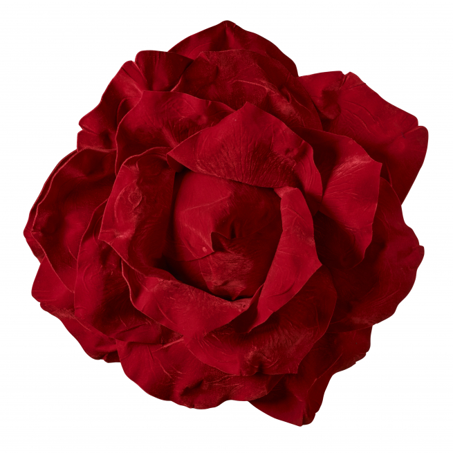 Testa di rosa rossa, diametro 75 cm