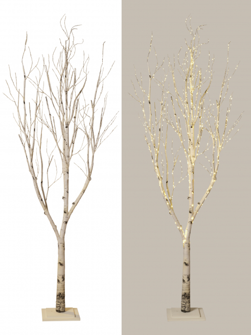 Albero di betulla naturale su base in legno con 860 luci, altezza 240 cm