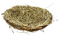 Nido in salice naturale, diametro 15 cm