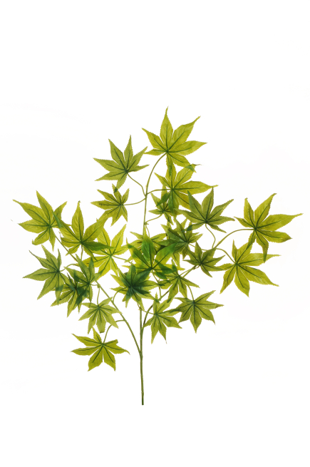 Ramo con foglie di "Acero", altezza 68 cm