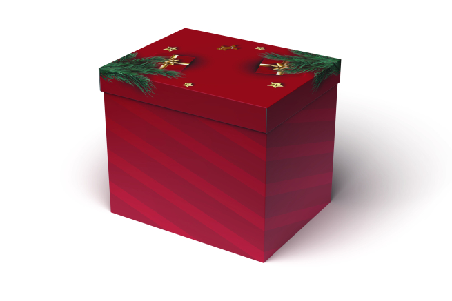 Scatola base rettangolare con coperchio, linea "Holly Spirit", 34x49x33 cm, cartone da 10 pezzi