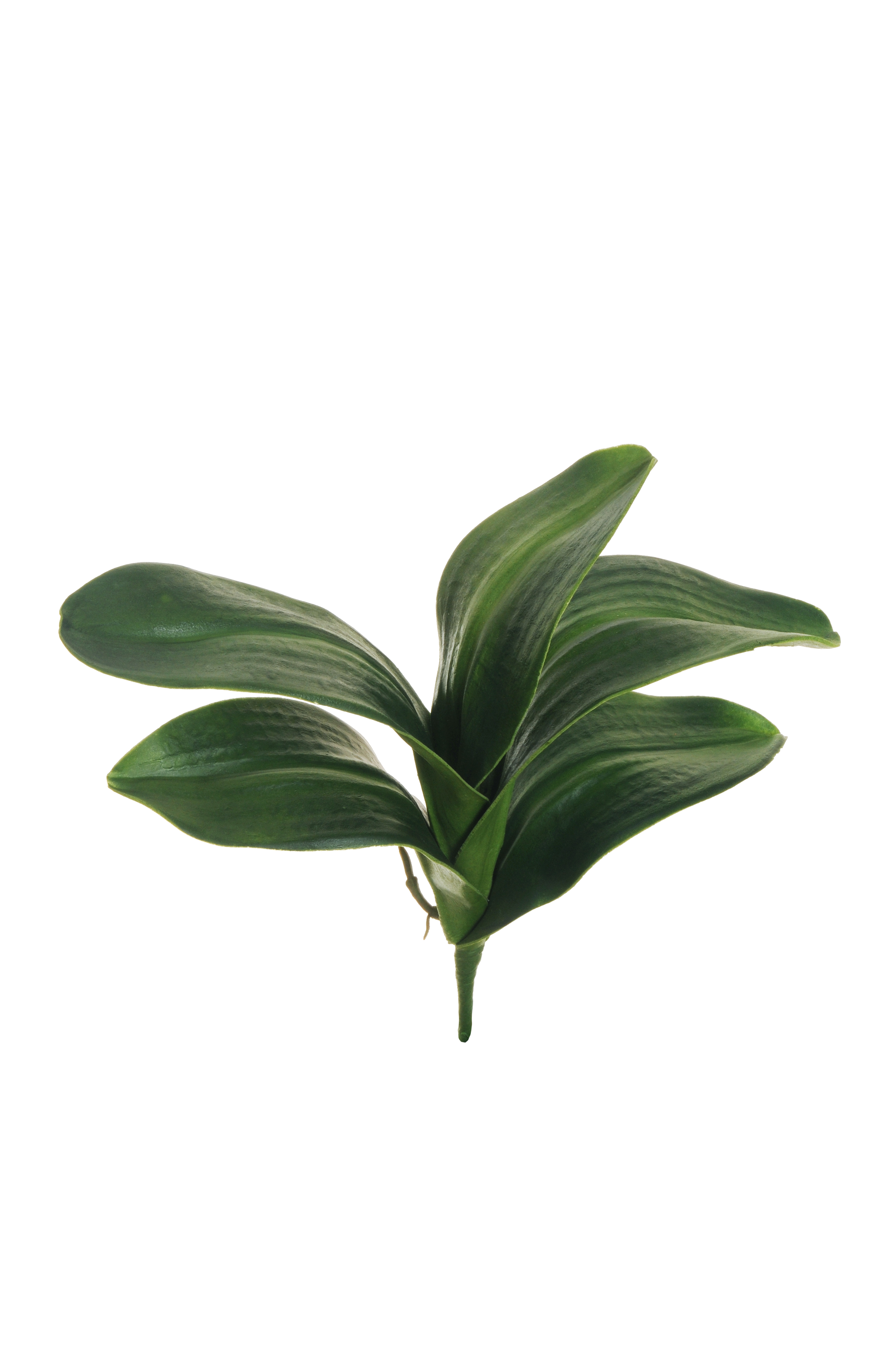 Fiori artificiali