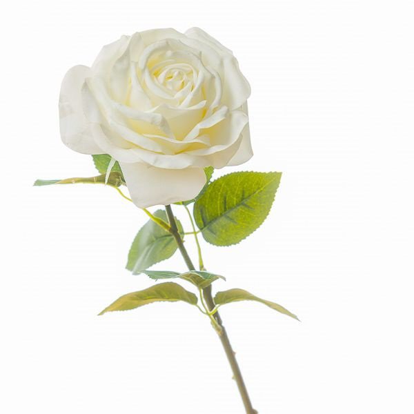 Fiori a stelo